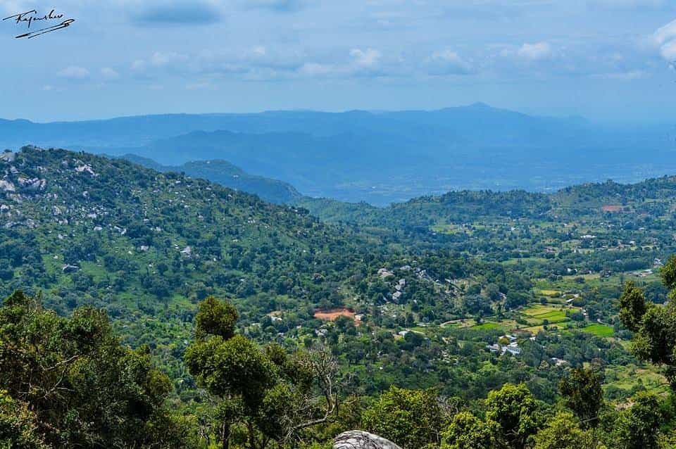 Hill Stations Near Chennai: Escape to the Hills